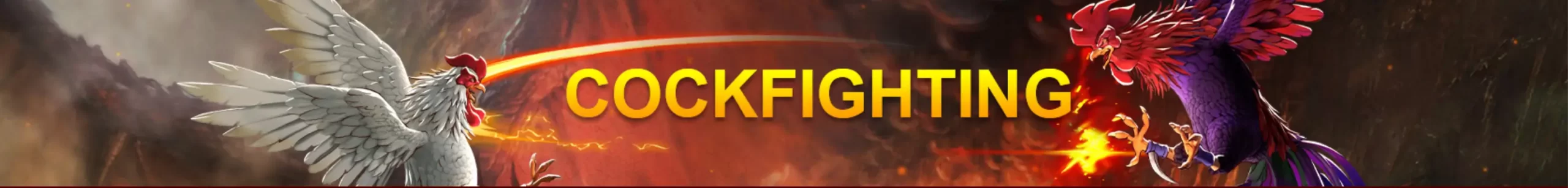 Cockfighting