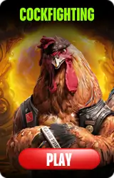 COCKFIGHTING